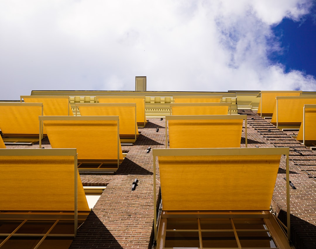 yellow-window-canopies-m8qfv3o1wiu